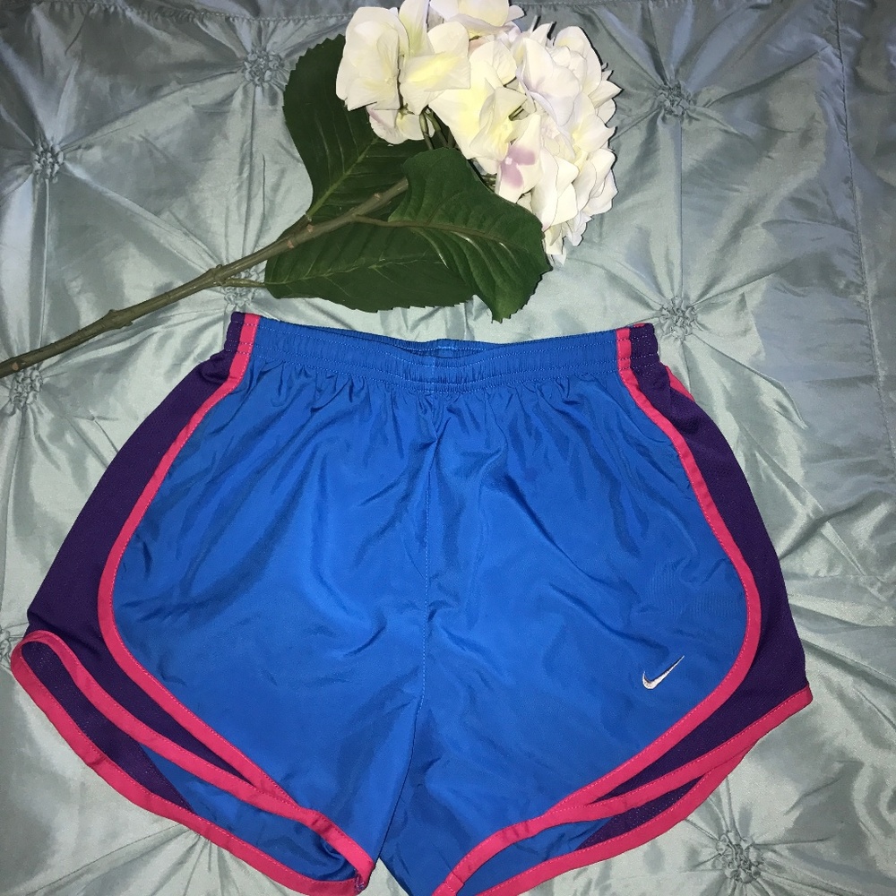 Blue and Pink Nike Shorts